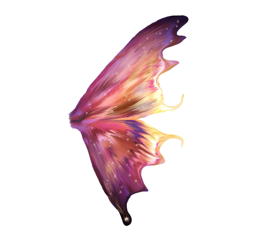 Fairy Wings PNG-Bildhintergrund