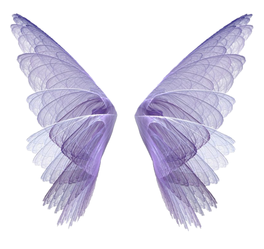 Fairy Wings PNG Image Transparent Background