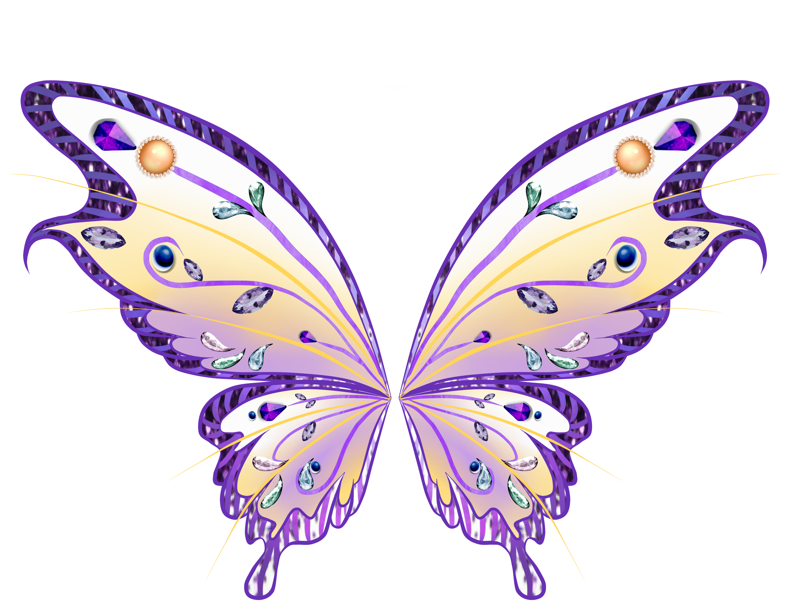 Fairy Wings PNG-Bild transparent