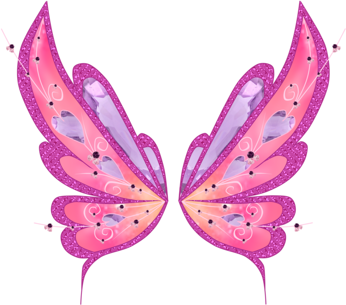 Fairy Wings PNG Image