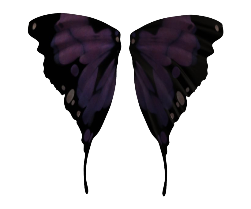 Fairy Wings PNG Pic