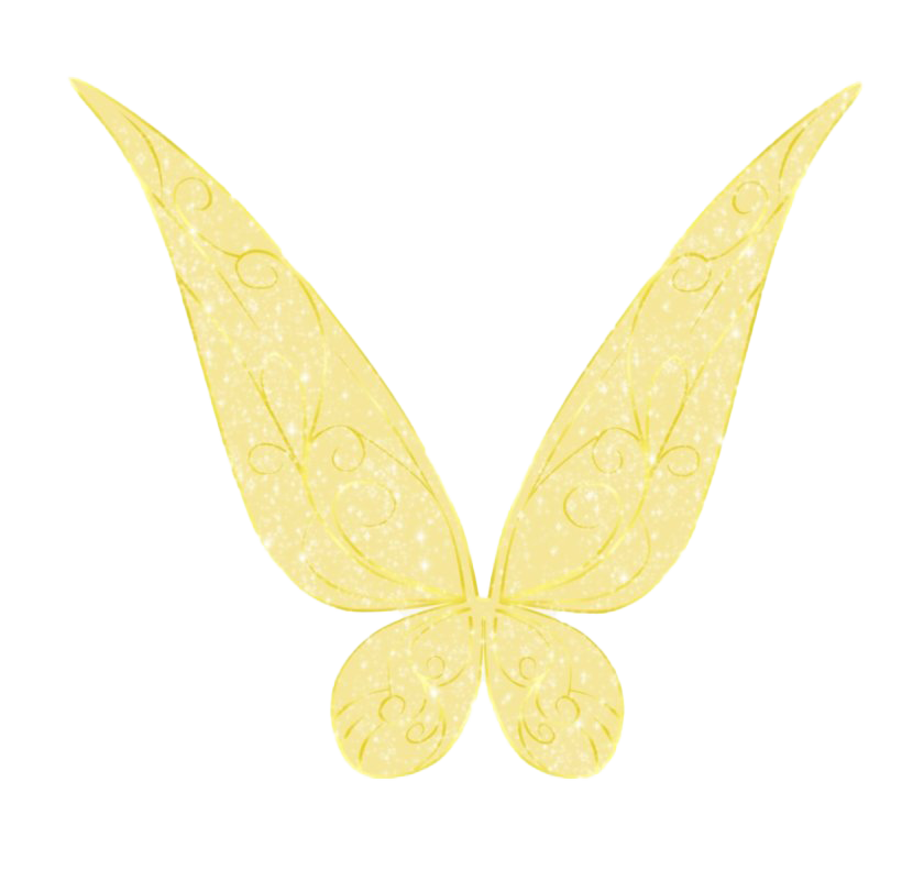 Fairy Wings Transparent Images