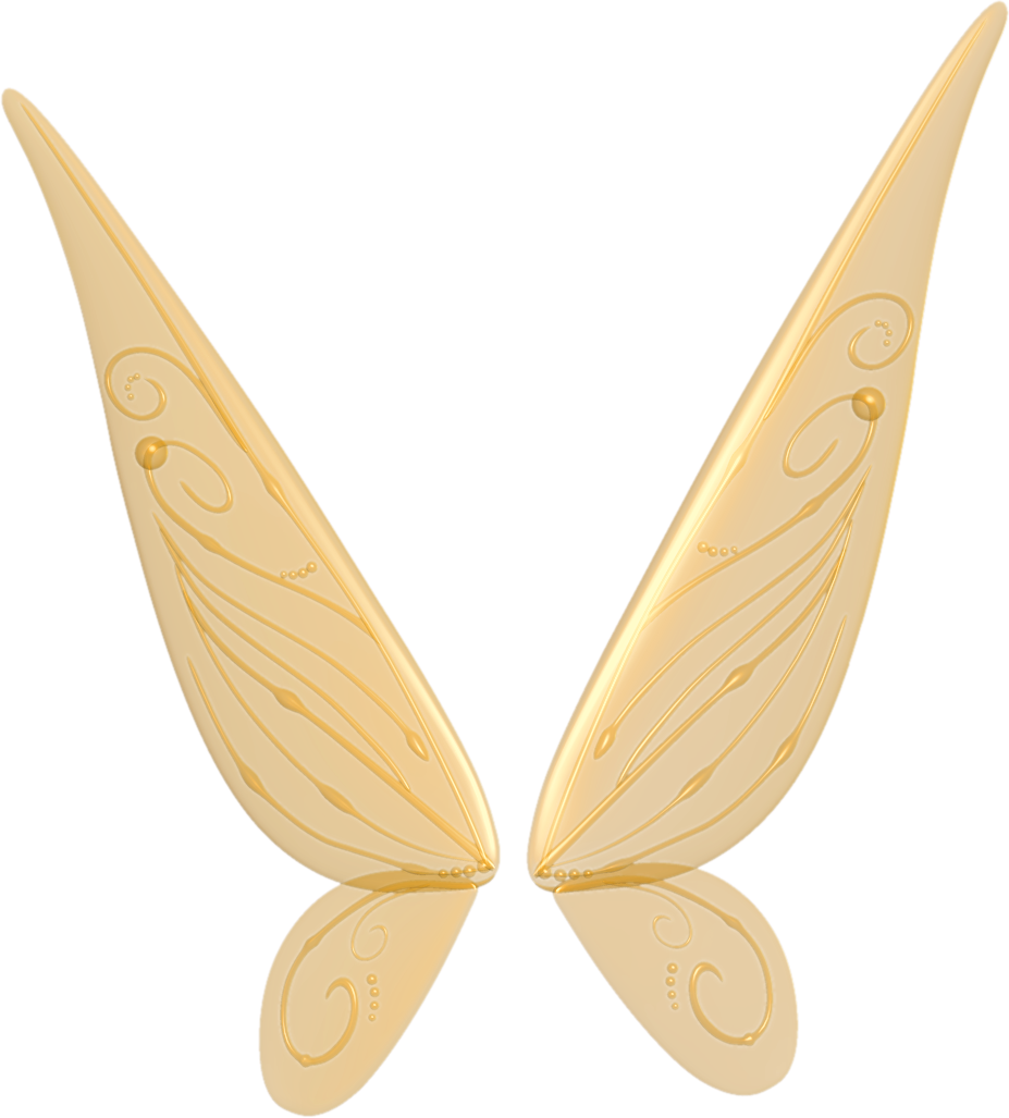 Fee Flügel transparent