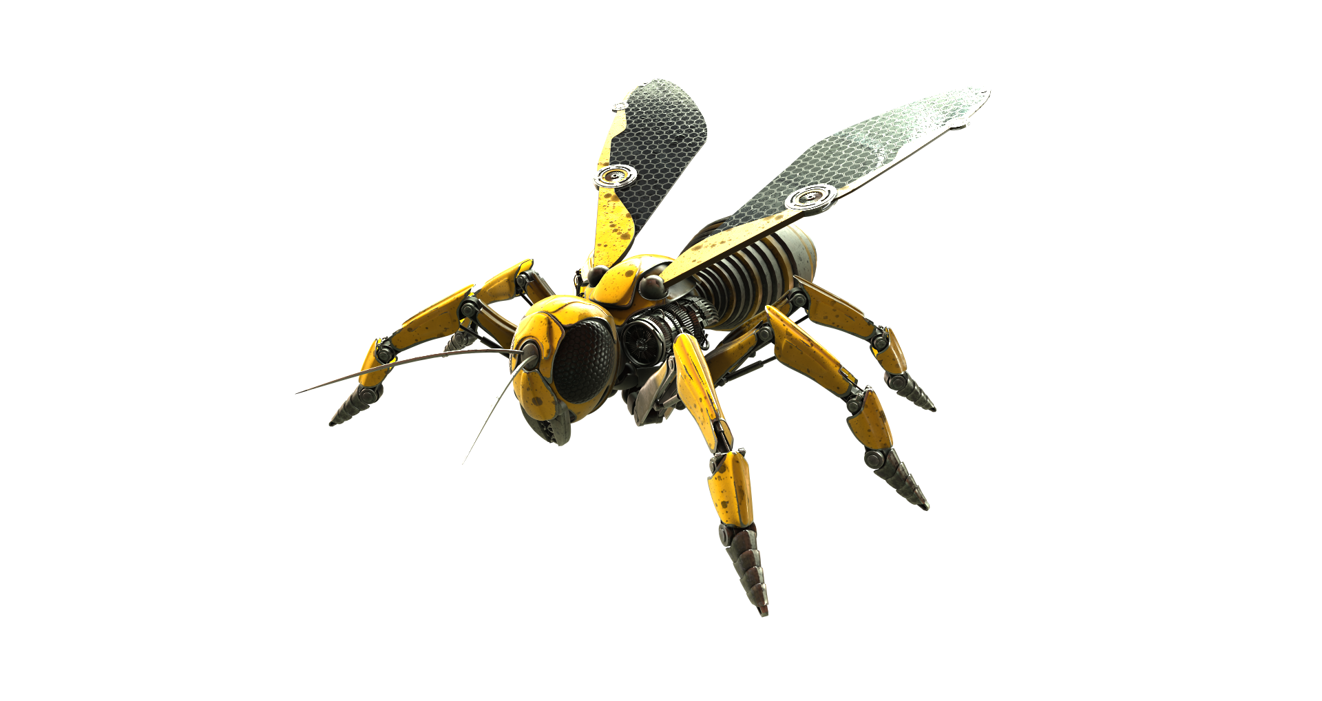 Fliegende Wespe transparente Bilder