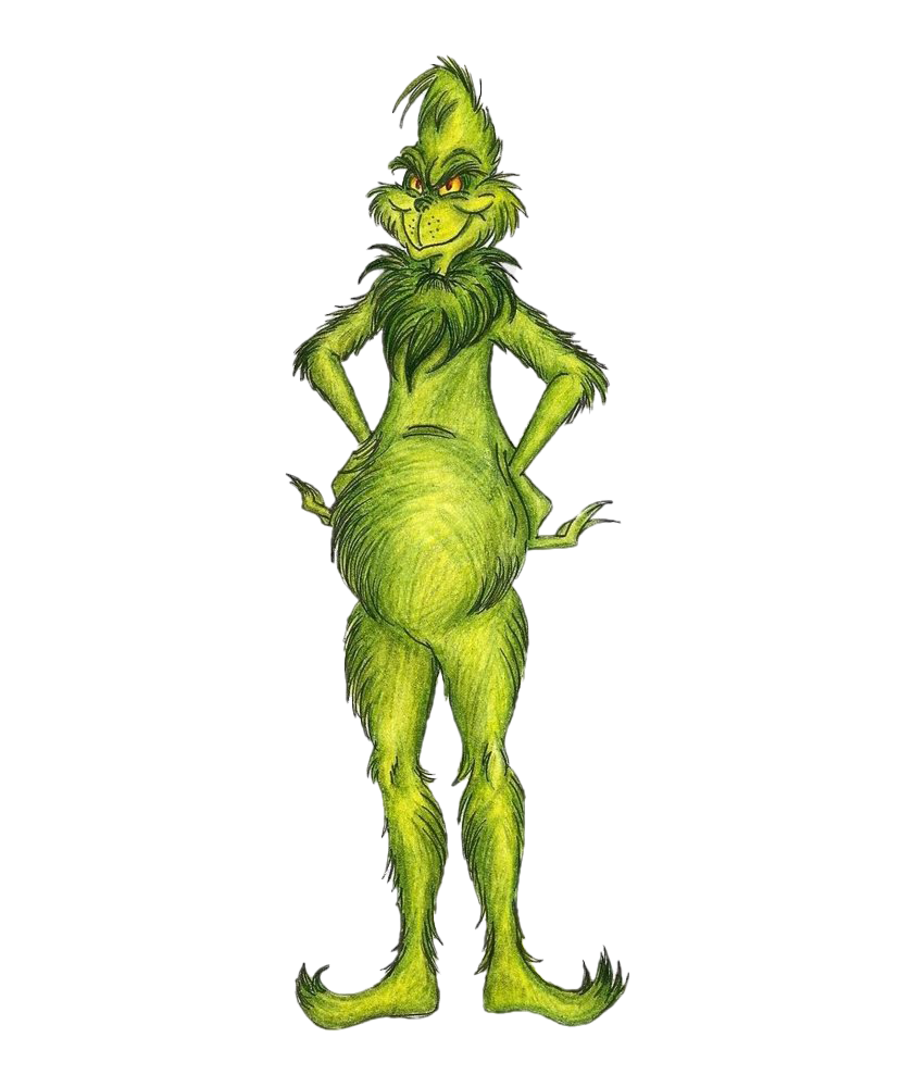 Grinch PNG Transparant Beeld