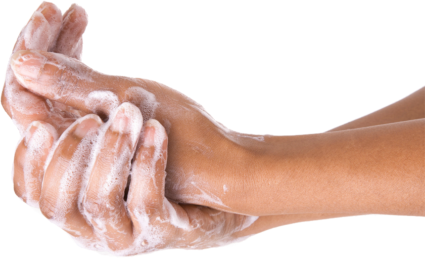 غسل اليد PNG الصورة