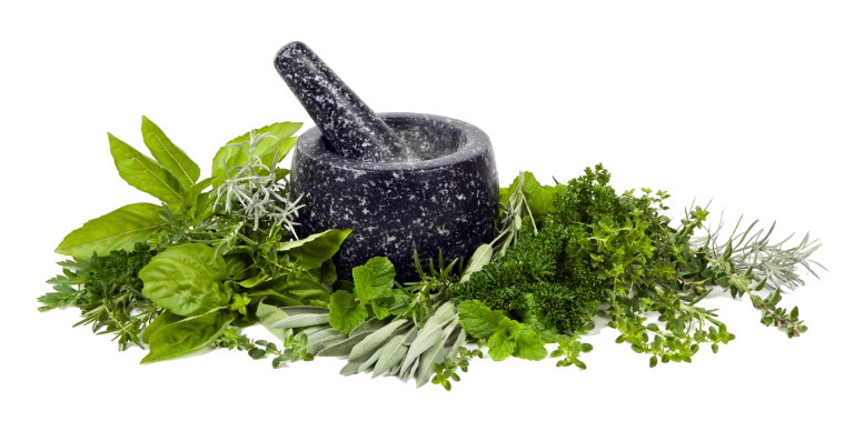Herbs Transparent Background PNG