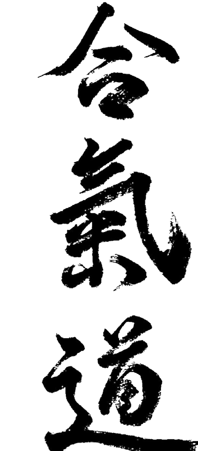 Kanji Aikido PNG Image