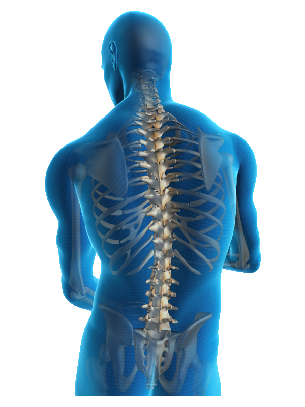 Lower Back Pain PNG Background Image