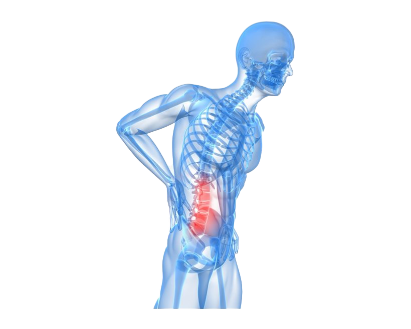 Lower Back Pain PNG High-Quality Image