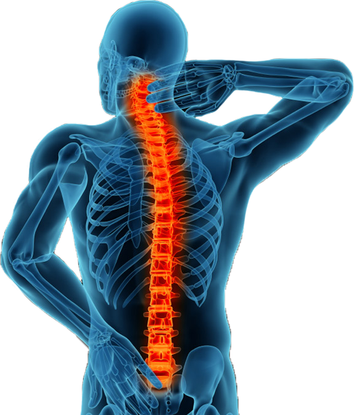 Lower Back Pain PNG Image Transparent Background