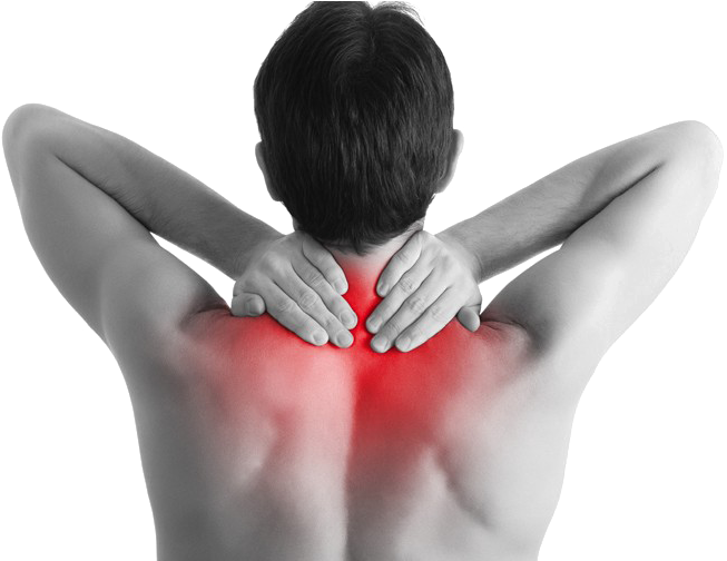 Musculoskeletal Back Pain Transparent Image