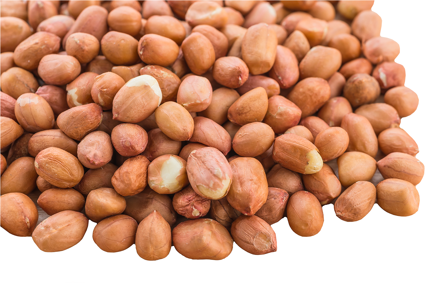 Peanut PNG Image