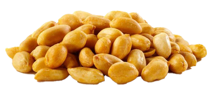 Peanut PNG Picture