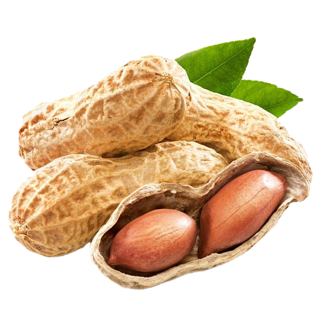 Peanut Shell PNG Image