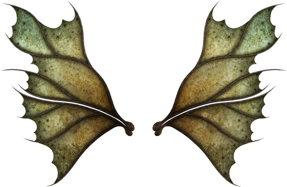 Realistic Fairy Wings PNG Free Download