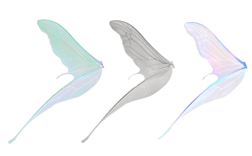 Realistic Fairy Wings PNG High-Quality Image