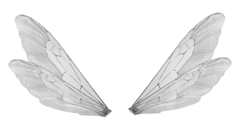 Fada realista asas PNG imagem transparente fundo