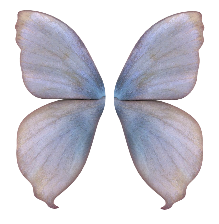 Realistic Fairy Wings PNG Image