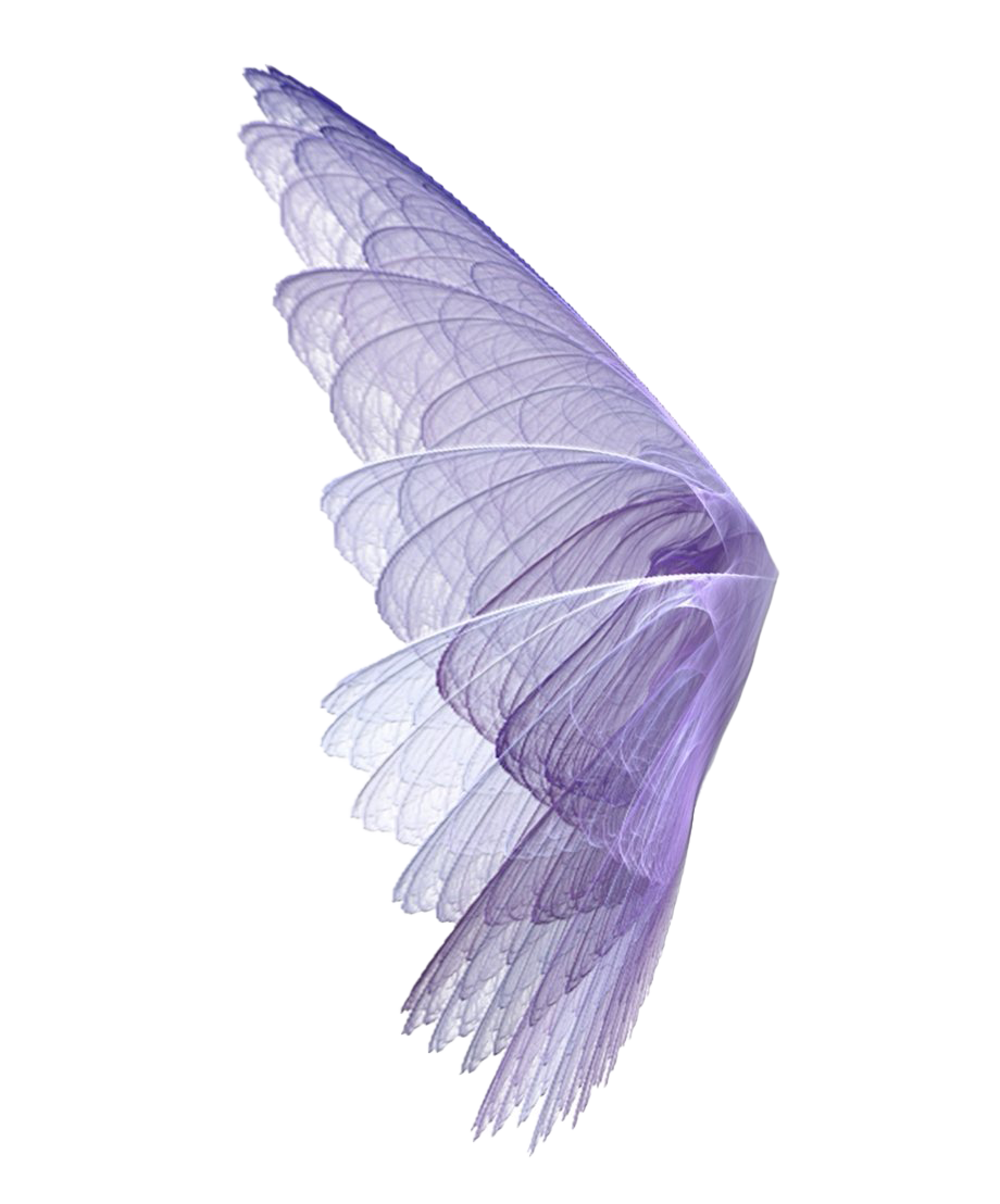 현실적인 요정 날개 PNG 사진