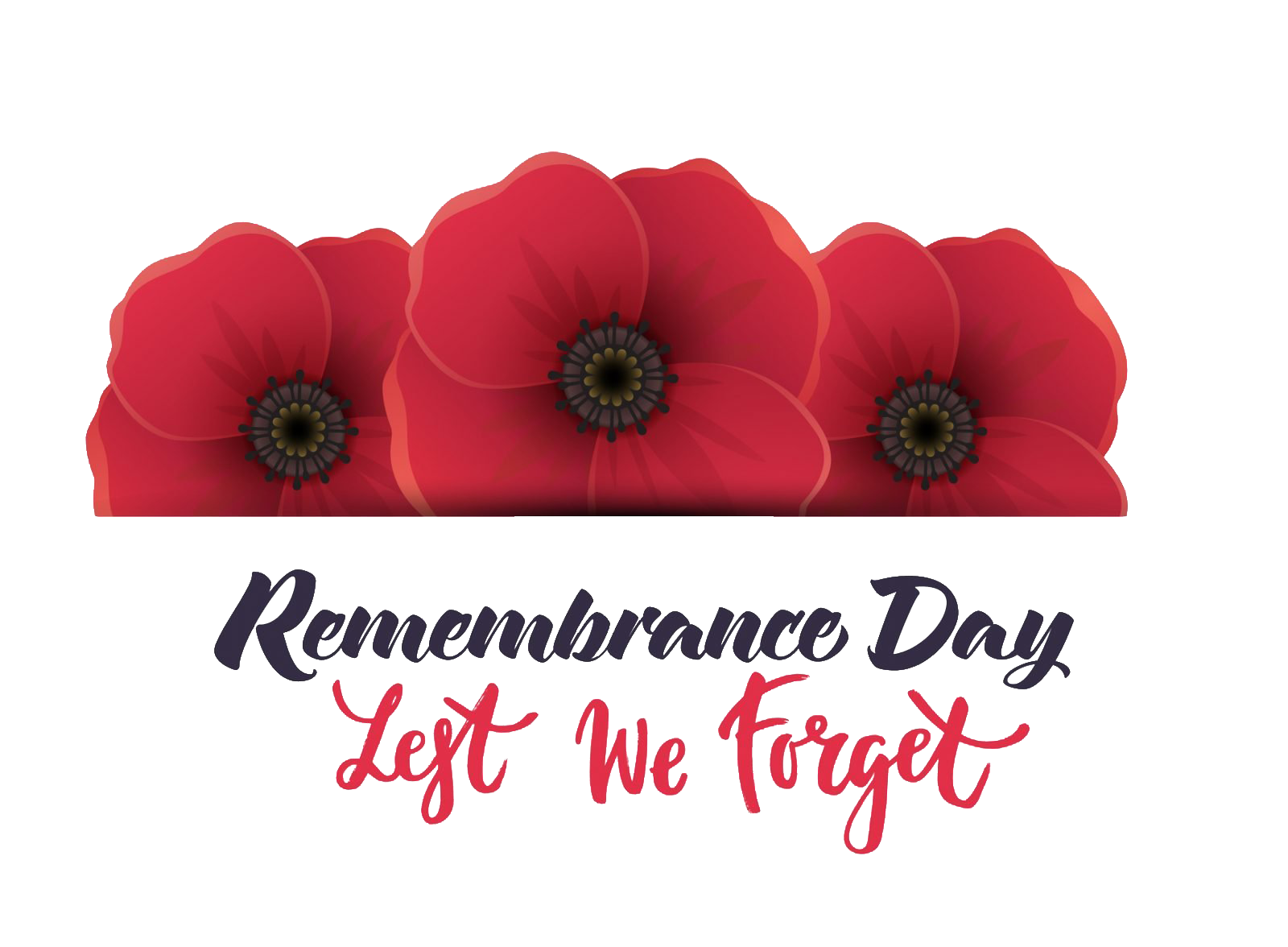Remembrance Day Unduh PNG Image