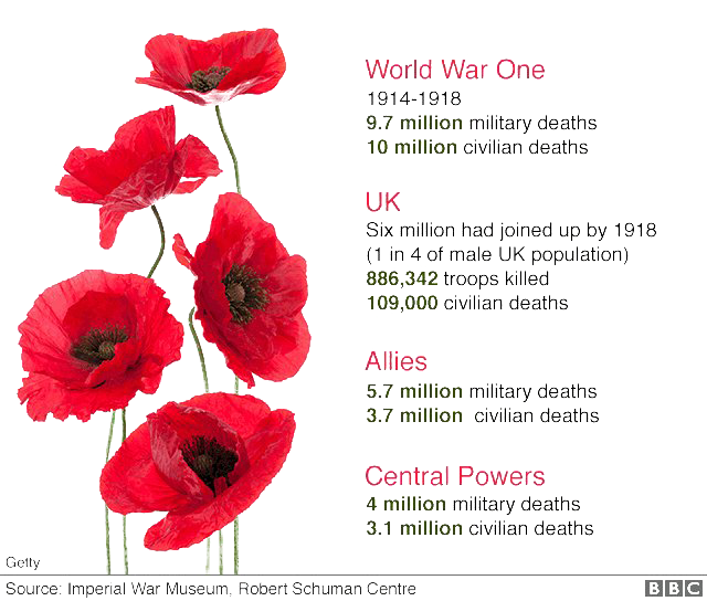 Remembrance Day PNG Image Background