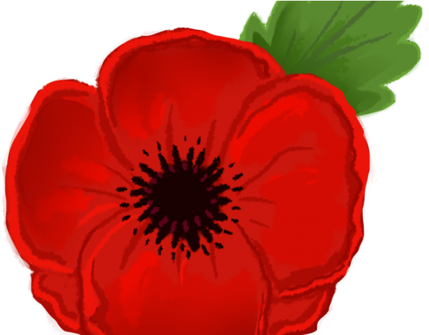 Remembrance Day Poppy Unduh PNG Image