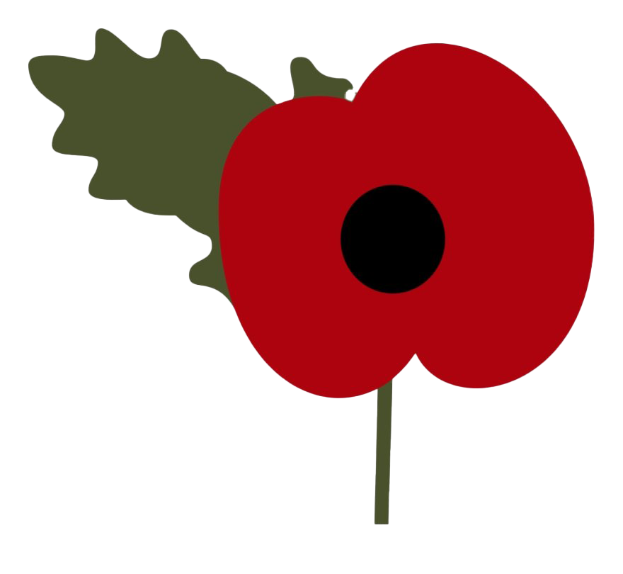 Remembrance Day Poppy Unduh Transparent PNG Image