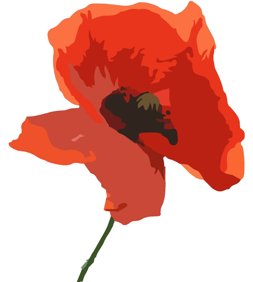 Remembrance Day Poppy Flower Free PNG Image