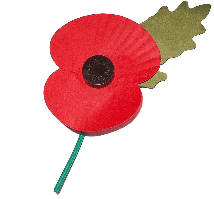 Remembrance Day Poppy Flower PNG Image Background