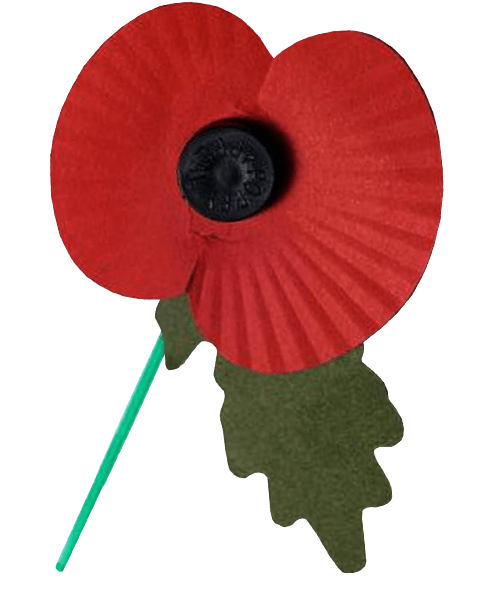 Remembrance Day Poppy Flower PNG Image
