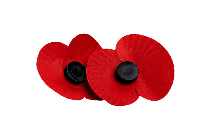 Remembrance Day Poppy Bunga PNG Pic