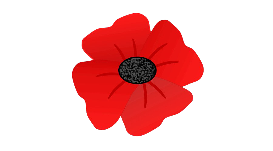 Remembrance Day Poppy Flower PNG Transparent Image