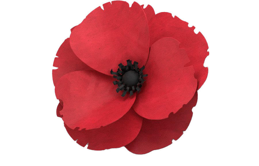 Remembrance Day Poppy Flower Transparent Image