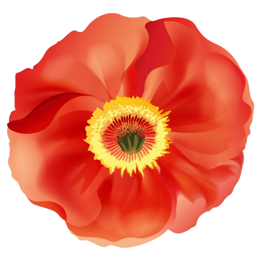 Remembrance Day Poppy PNG Unduh Image