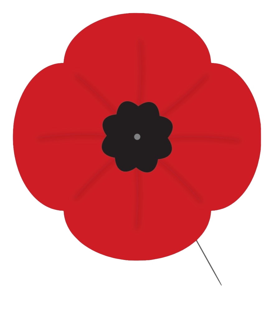 Remembrance Day Poppy PNG High-Quality Image