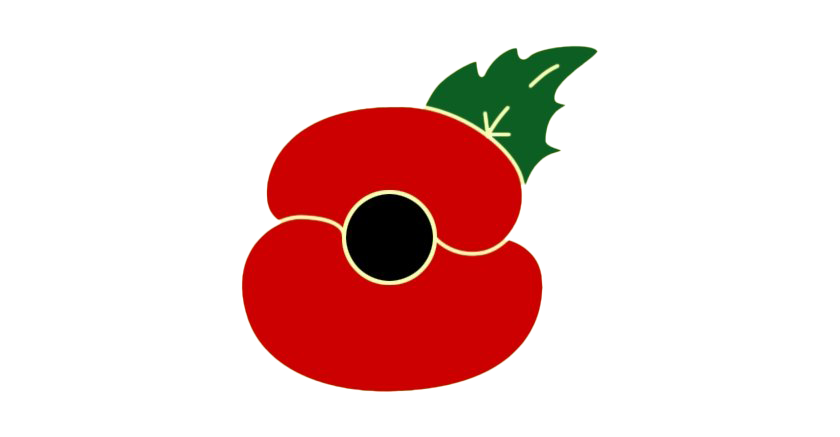 Remembrance Day Poppy PNG Image Background
