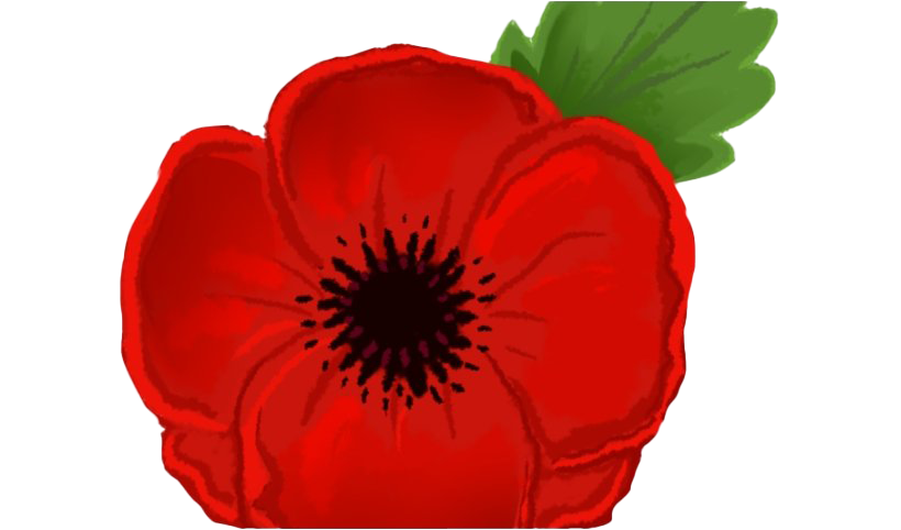 Remembrance Day Poppy PNG Image Transparent