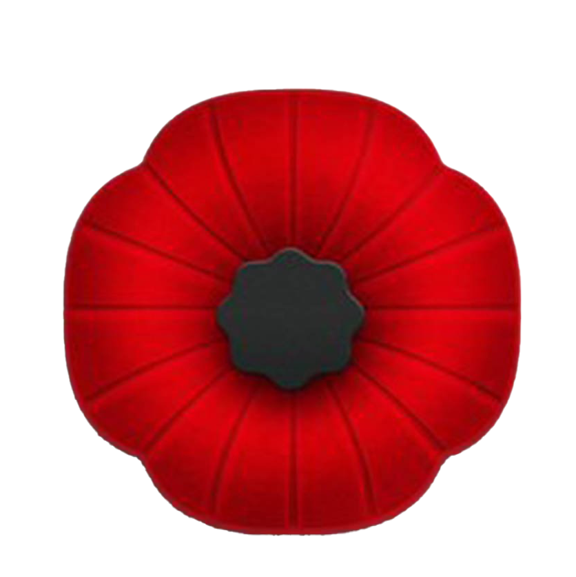 Remembrance Day Poppy PNG Image