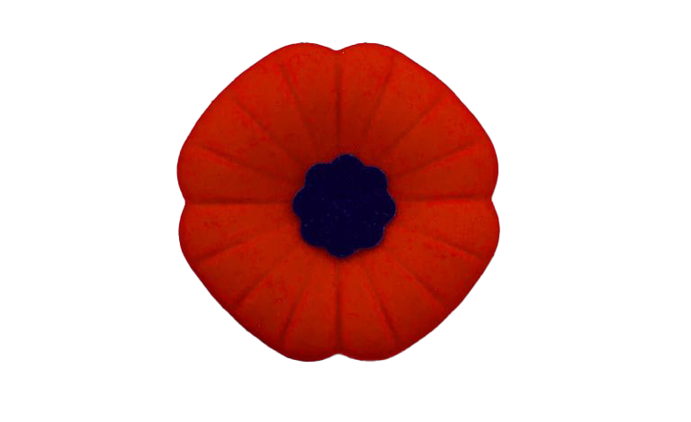 Remembrance Day Poppy PNG Foto