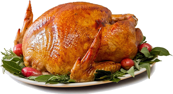 Thanksgiving Turkey Free PNG Image