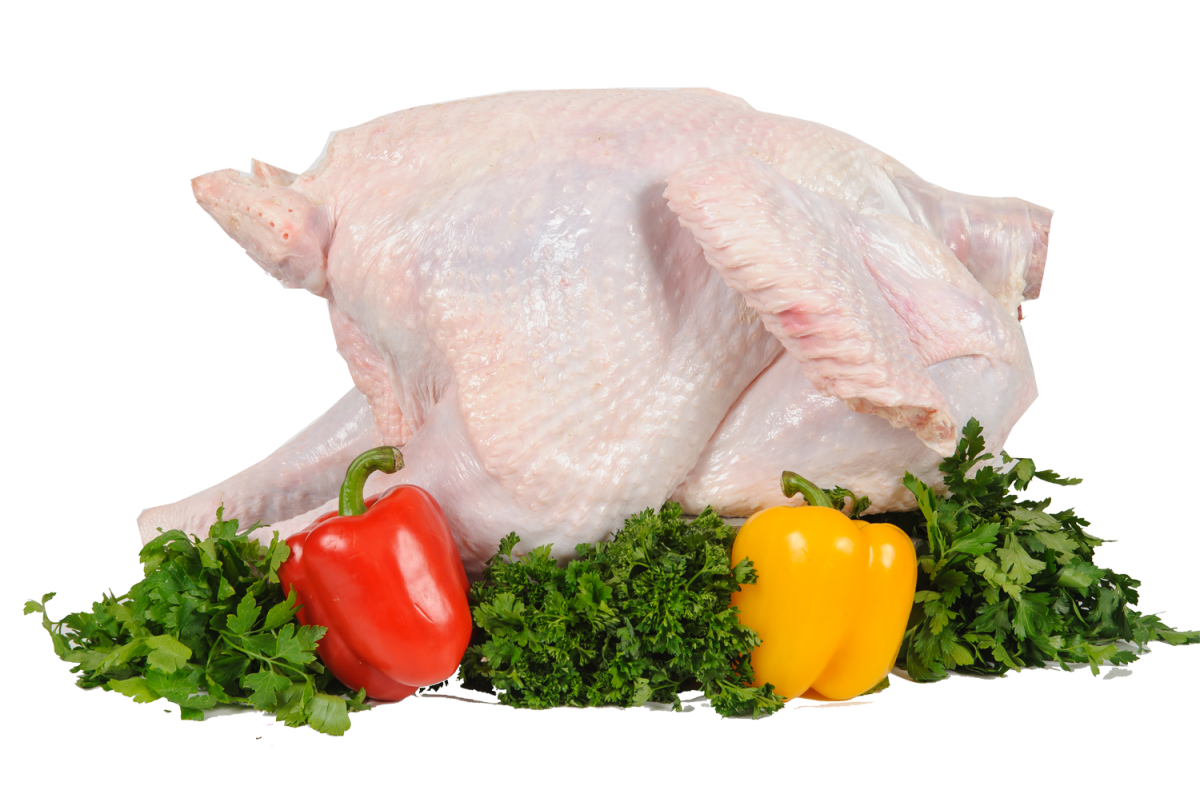 Thanksgiving Turkey PNG Free Download