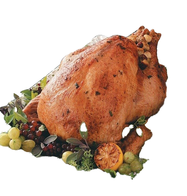 Thanksgiving Turkey PNG Image Background