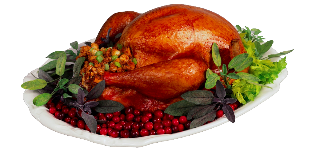Thanksgiving Turkey Transparent Image