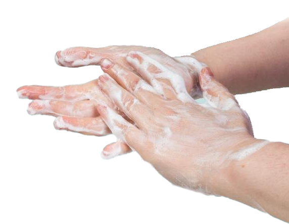 Wash Hands Download Transparent PNG Image
