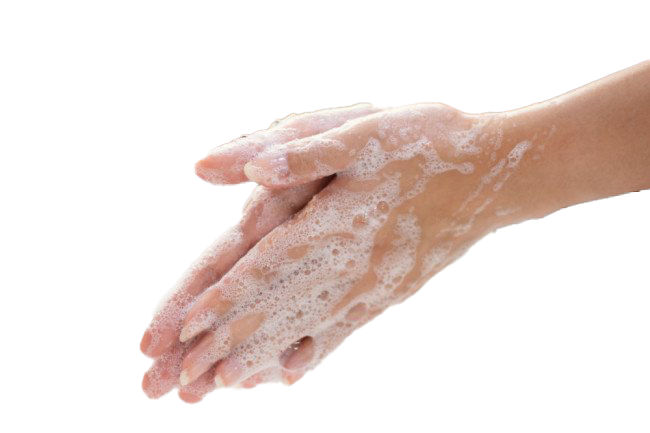 Wash Hands PNG Image Transparent Background