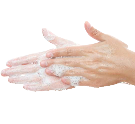 Washing Hands PNG Image