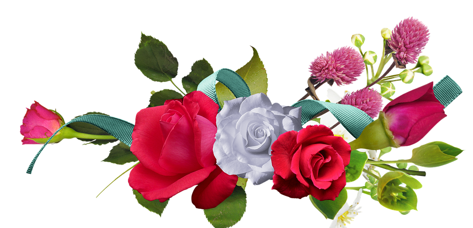 White And Red Rose PNG