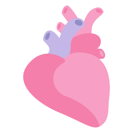 Anatomisch hart Gratis PNG-Afbeelding