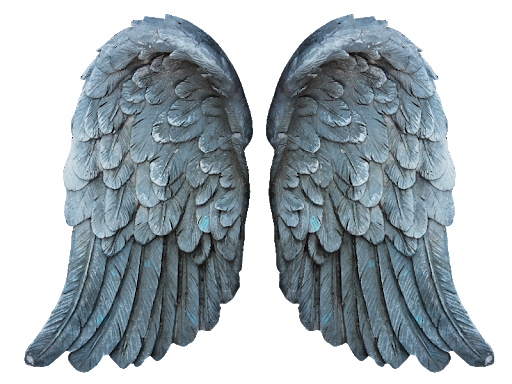 Asas de anjo Download imagem transparente PNG